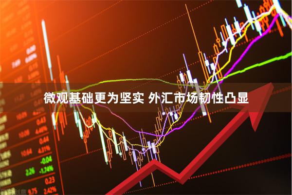 微观基础更为坚实 外汇市场韧性凸显