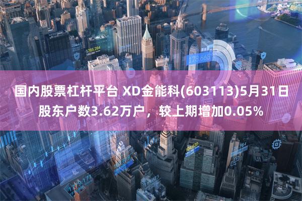 国内股票杠杆平台 XD金能科(603113)5月31日股东户数3.62万户，较上期增加0.05%