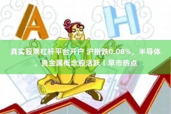 真实股票杠杆平台开户 沪指跌0.08%，半导体、贵金属概念股活跃丨早市热点