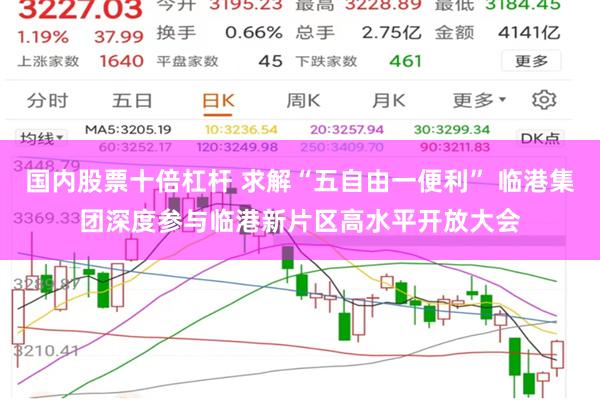 国内股票十倍杠杆 求解“五自由一便利” 临港集团深度参与临港新片区高水平开放大会