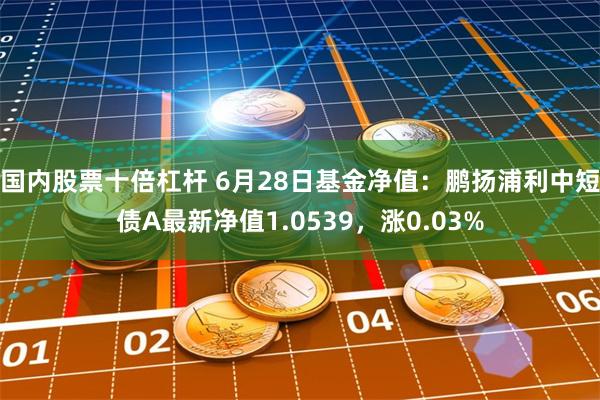 国内股票十倍杠杆 6月28日基金净值：鹏扬浦利中短债A最新净值1.0539，涨0.03%