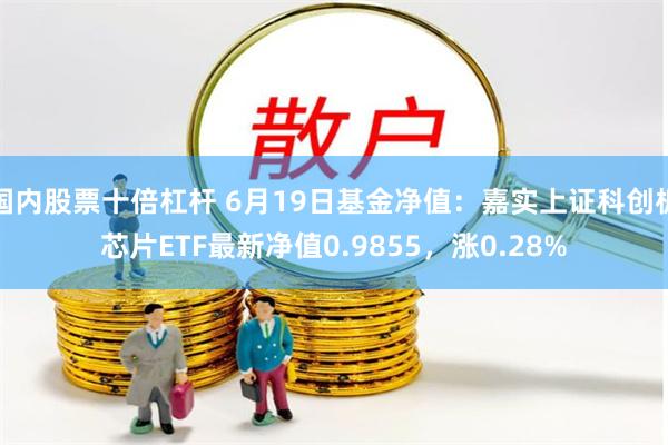 国内股票十倍杠杆 6月19日基金净值：嘉实上证科创板芯片ETF最新净值0.9855，涨0.28%