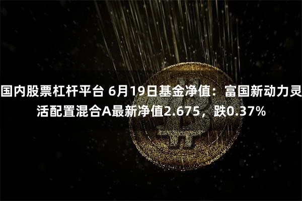 国内股票杠杆平台 6月19日基金净值：富国新动力灵活配置混合A最新净值2.675，跌0.37%