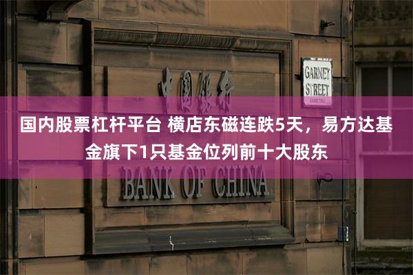 国内股票杠杆平台 横店东磁连跌5天，易方达基金旗下1只基金位列前十大股东