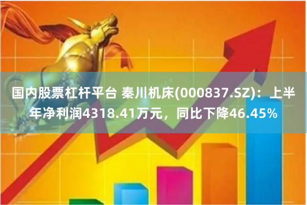 国内股票杠杆平台 秦川机床(000837.SZ)：上半年净利润4318.41万元，同比下降46.45%