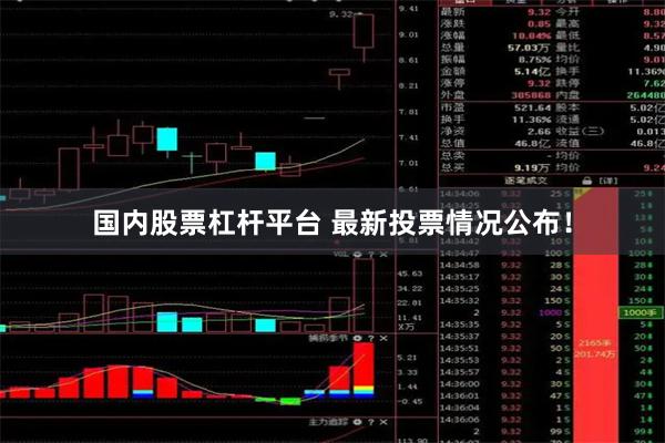 国内股票杠杆平台 最新投票情况公布！