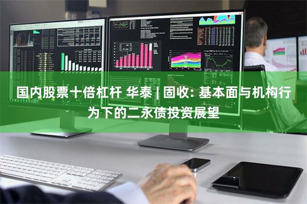 国内股票十倍杠杆 华泰 | 固收: 基本面与机构行为下的二永债投资展望