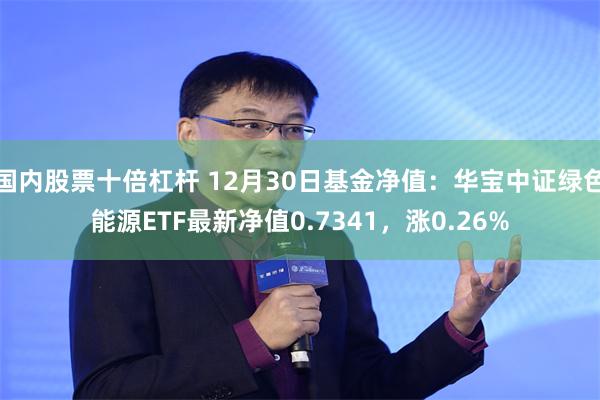 国内股票十倍杠杆 12月30日基金净值：华宝中证绿色能源ETF最新净值0.7341，涨0.26%