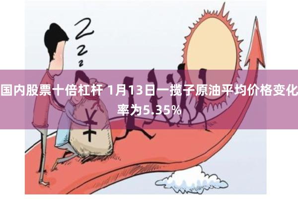 国内股票十倍杠杆 1月13日一揽子原油平均价格变化率为5.35%